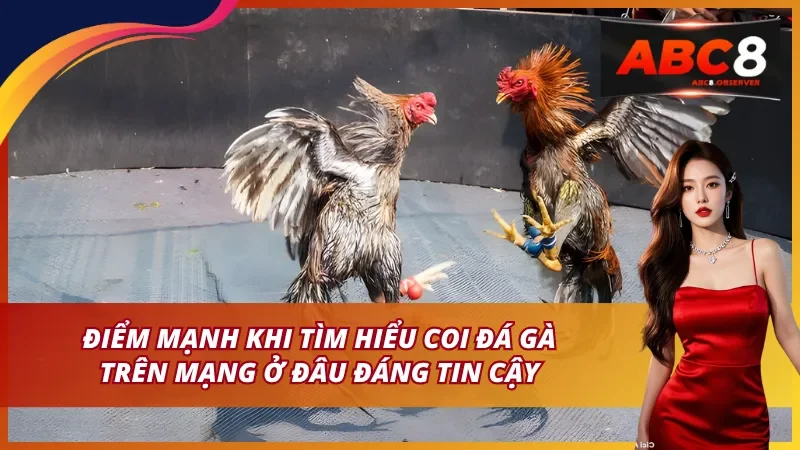 Điểm mạnh nổi bật khi coi đá gà trên mạng ở đâu đáng tin cậy