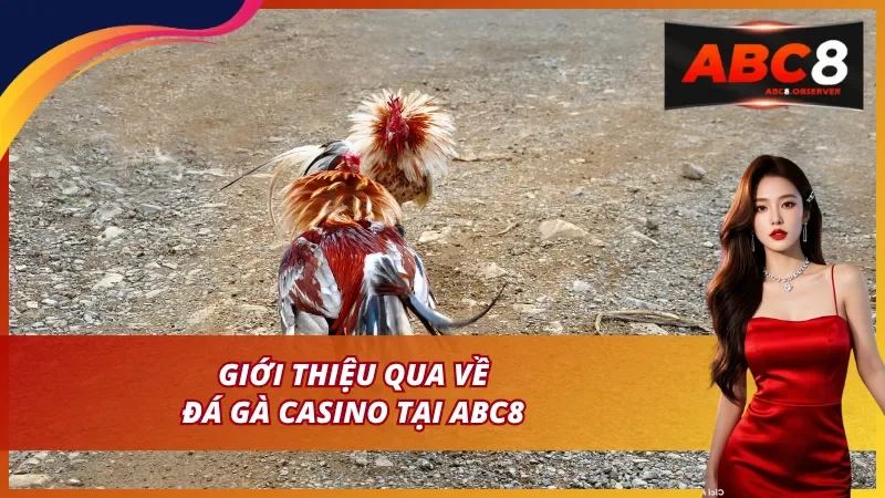 Giới thiệu đôi nét về loại hình cược đá gà casino